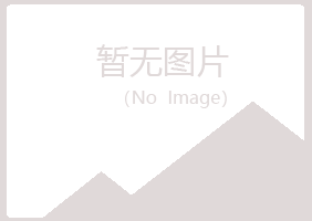 兴业县紫山建设有限公司